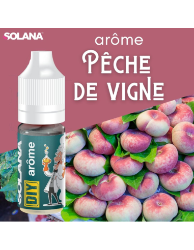 SOLANA Pêches de vigne concentré 10ml